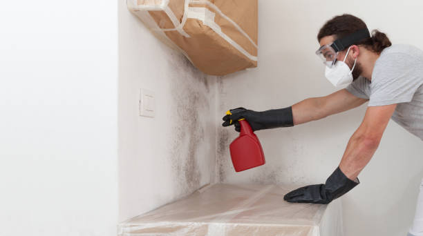 Professional Mold Remediation technician working in Dover, MA