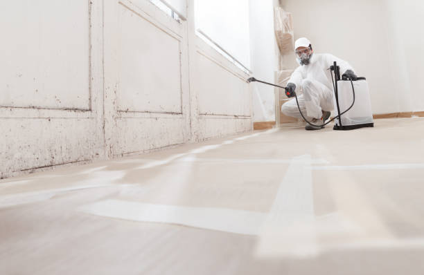 24/7 Emergency Mold Remediation experts in Dover, MA